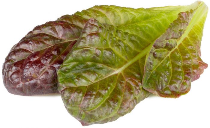 Click & Grow Smart Refill Punane Rooma salat 3tk
