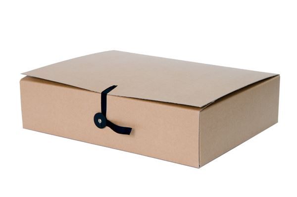 Archive box / archive covers A4 ribbon + button fastening. width 10cm, cardboard 650gsm, brown, SMLT