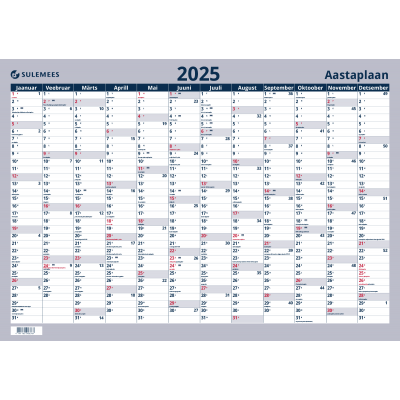 Seinaplakat AASTAPLAAN, 70*50cm 2025a.