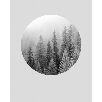 Seinapilt/Poster Frozen winter 40x50cm/ 81212