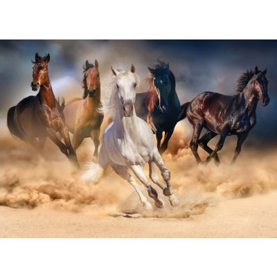 Seinapilt/Poster Horses 50x70cm/ 81139