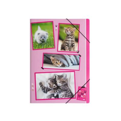 Elasticated File, Cats, A4, 3 flaps, PP, Pagna
