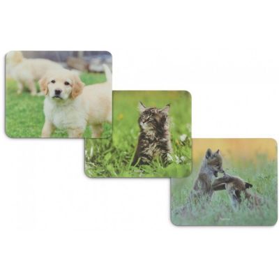 Hiirepadi Hama Animal/loomapilt - Silk mouse pad, libisemiskindel kummipõhi, optilisele hiirele