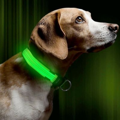 LED-kaelarihm koerale Satzuma Light Up Dog Collar